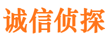 凤阳侦探公司